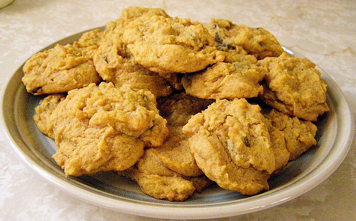 pumpkin chocolate chip cookies recipe